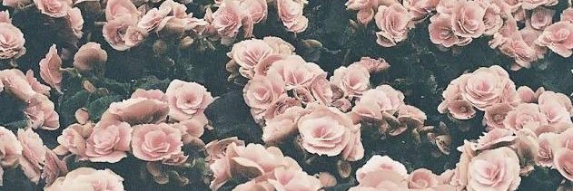 DallGabriele's profile banner image