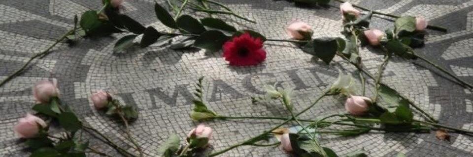wonvankalsbeek's profile banner image