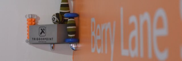 berrylanestudio's profile banner image