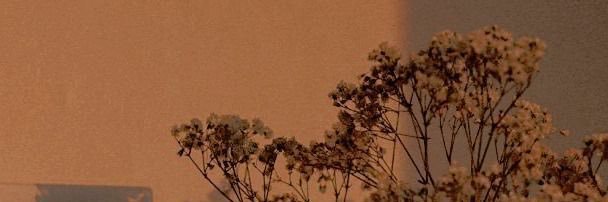 DnsLuna's profile banner image