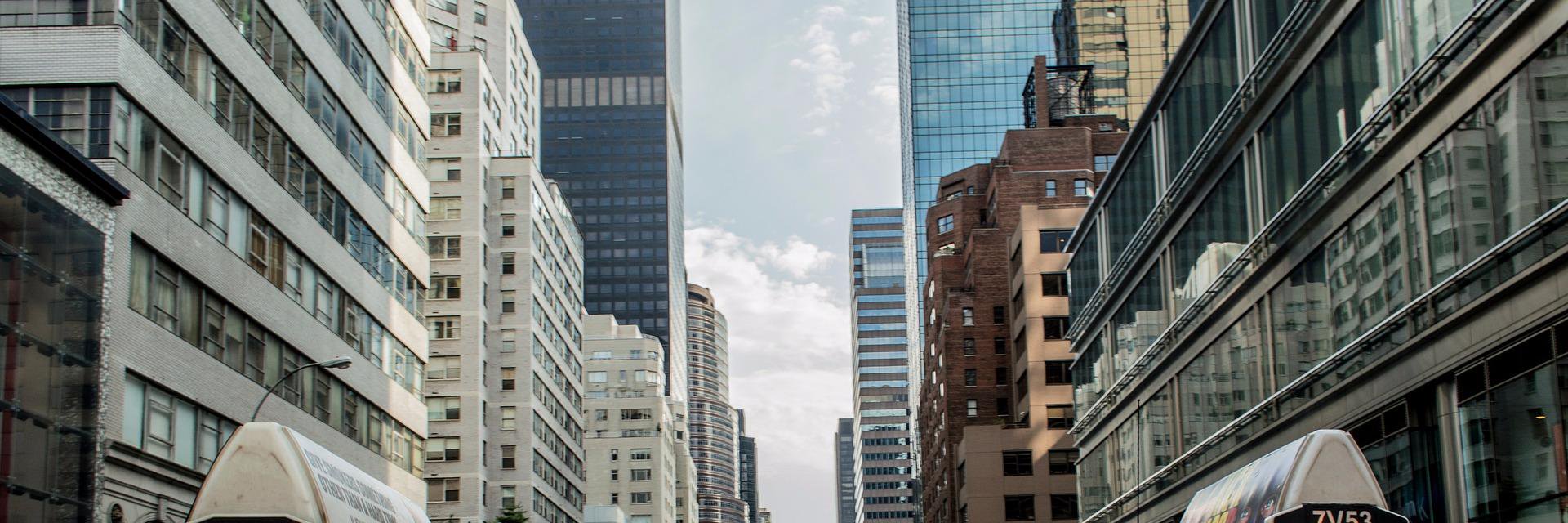 IgorVest's profile banner image
