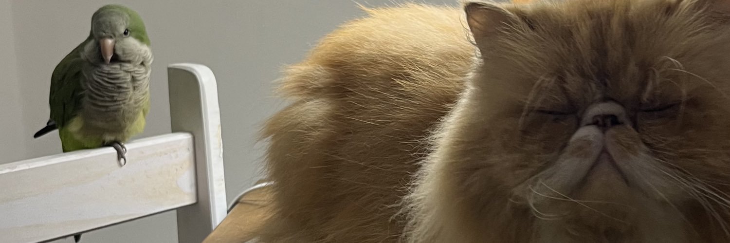 Lubeniteznu's profile banner image