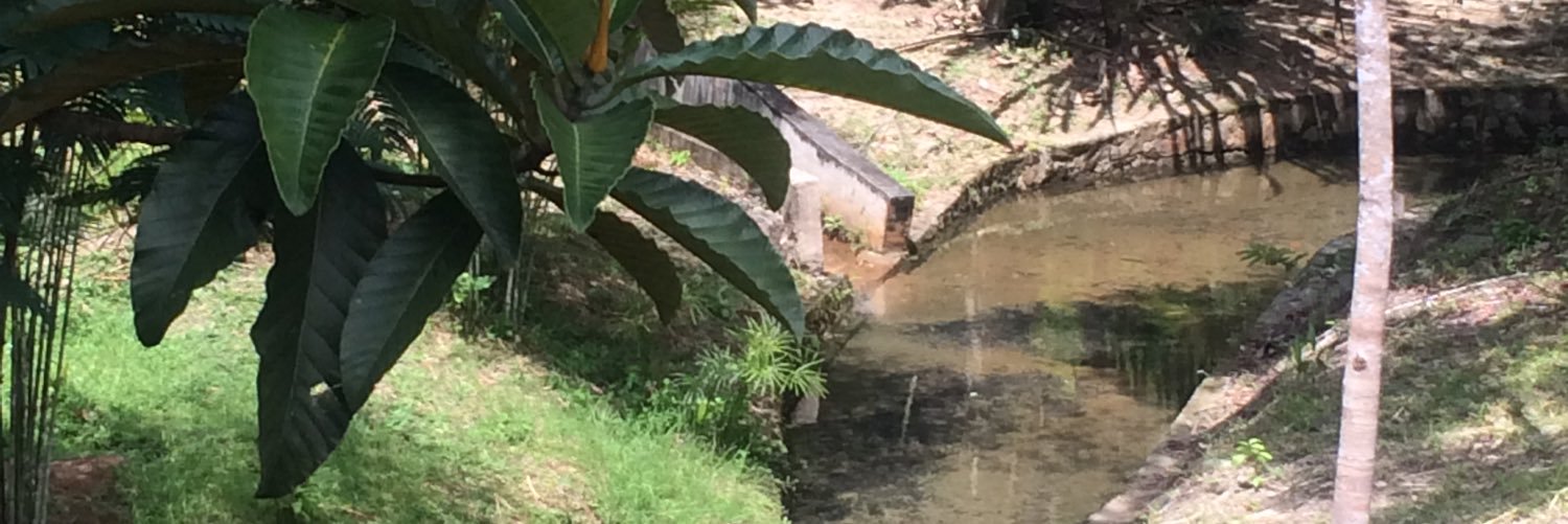 abd_abd1978's profile banner image