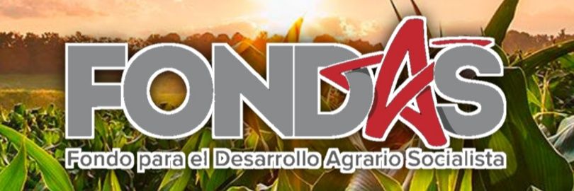 FONDAS Lara banner