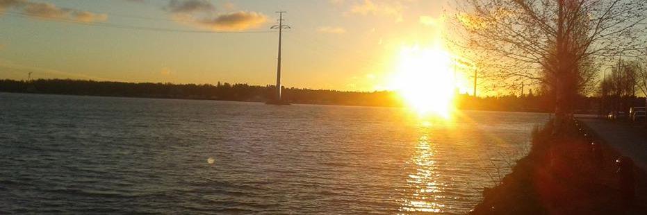 STelkki's profile banner image