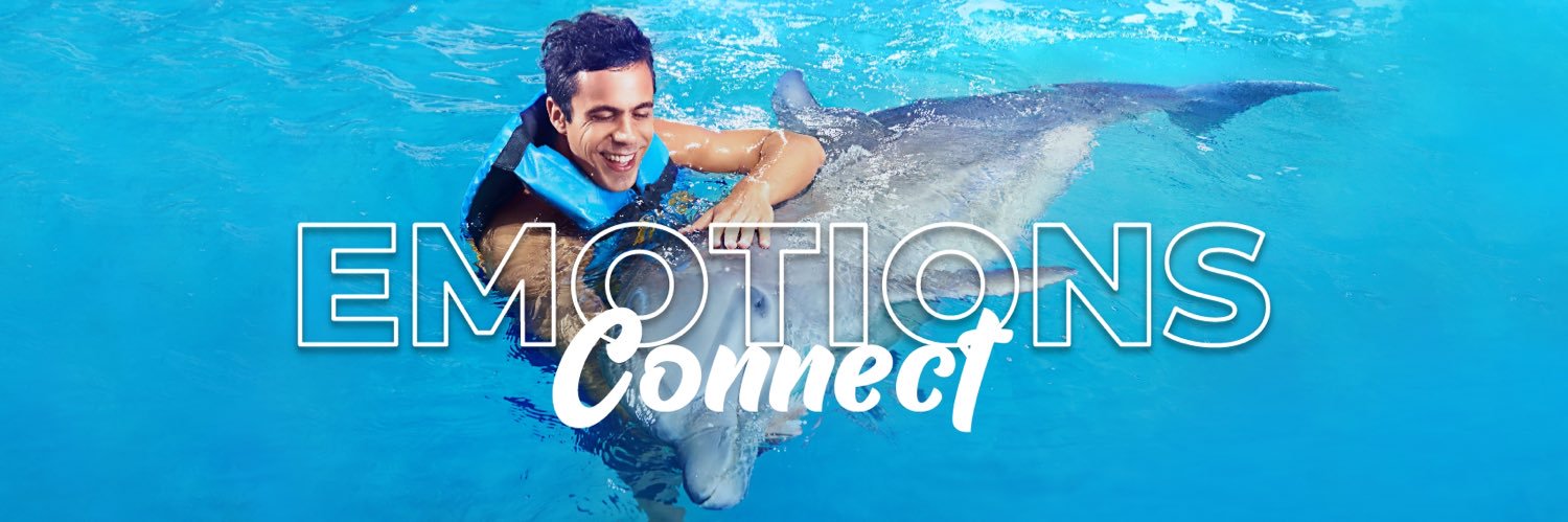 dolphindiscENG's profile banner image