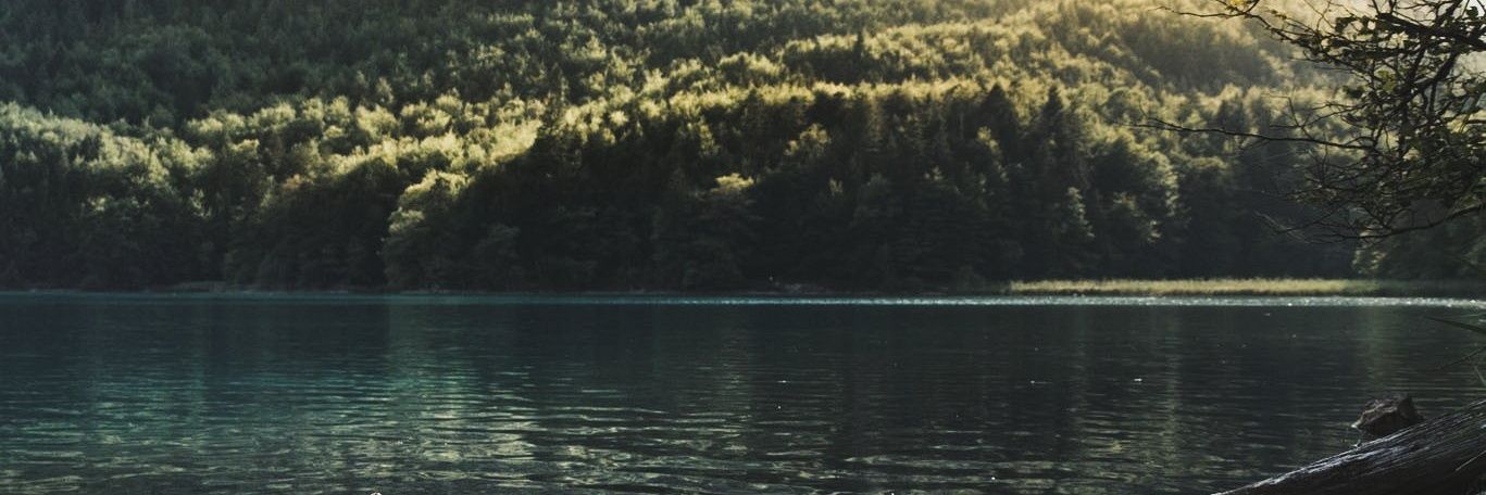 garbe_carsten's profile banner image