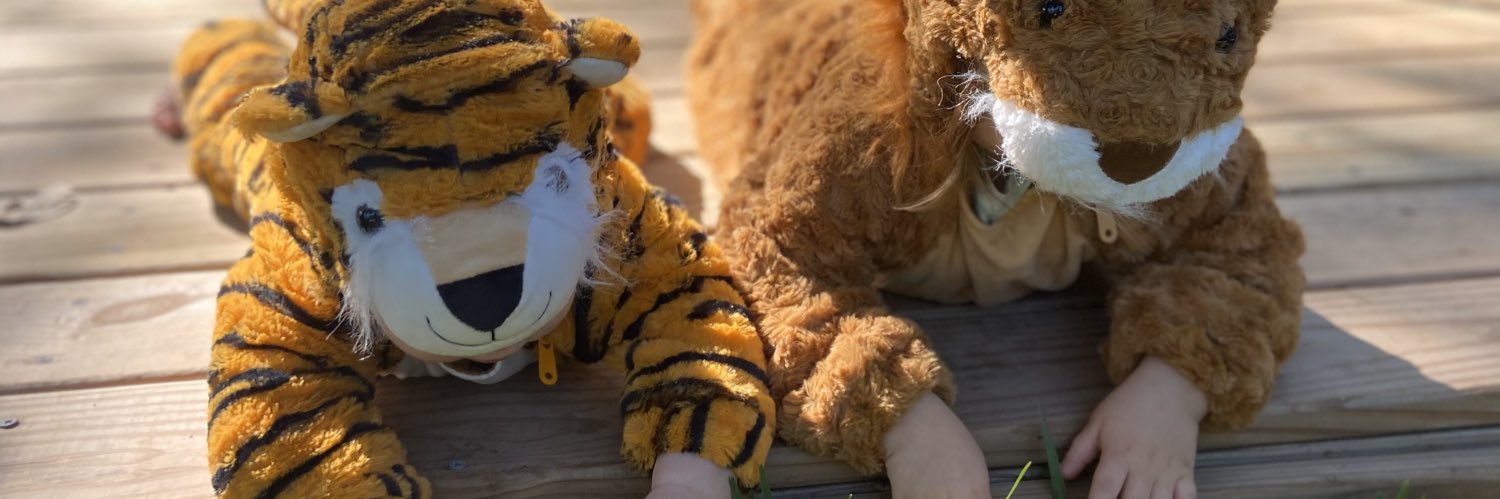 LizMFT's profile banner image