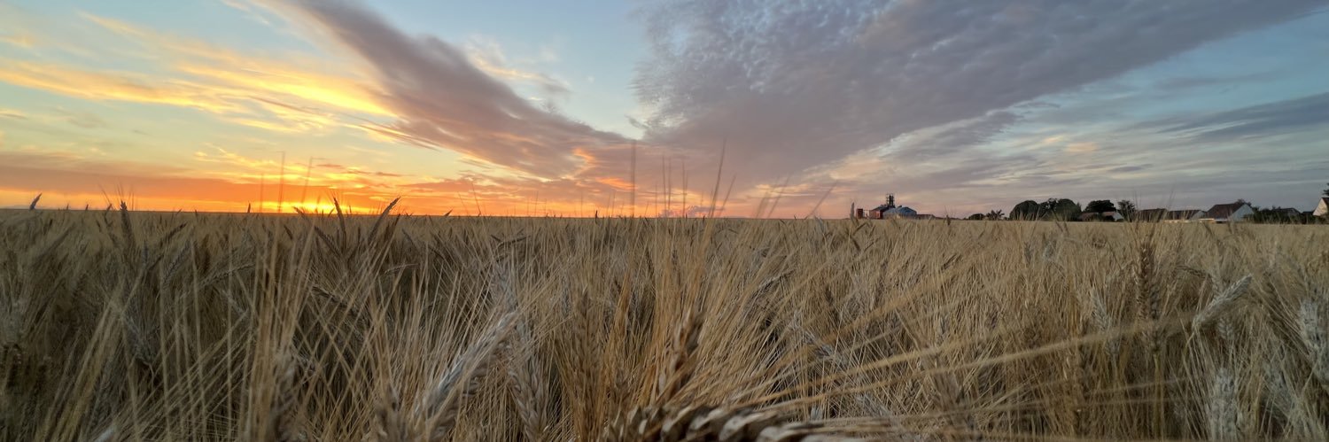 Florian Strube banner