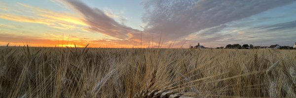 strubeflo Profile Banner