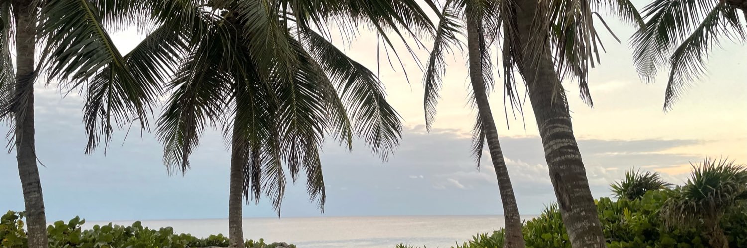 amxris_'s profile banner image