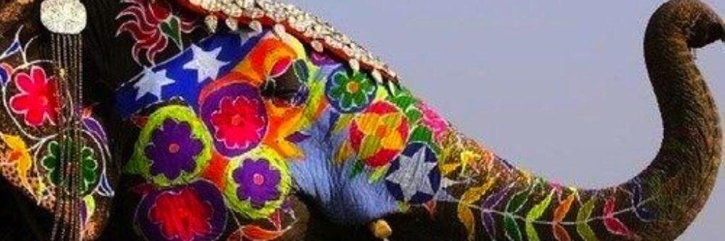 TashtaJ's profile banner image