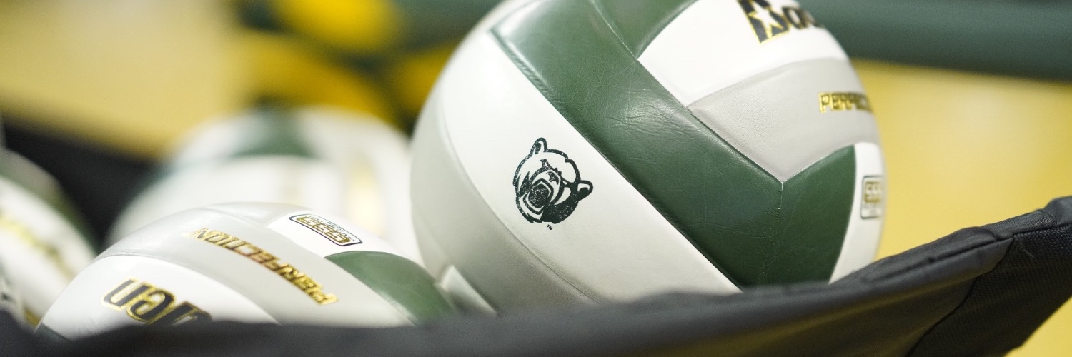 Baylor Volleyball's banner