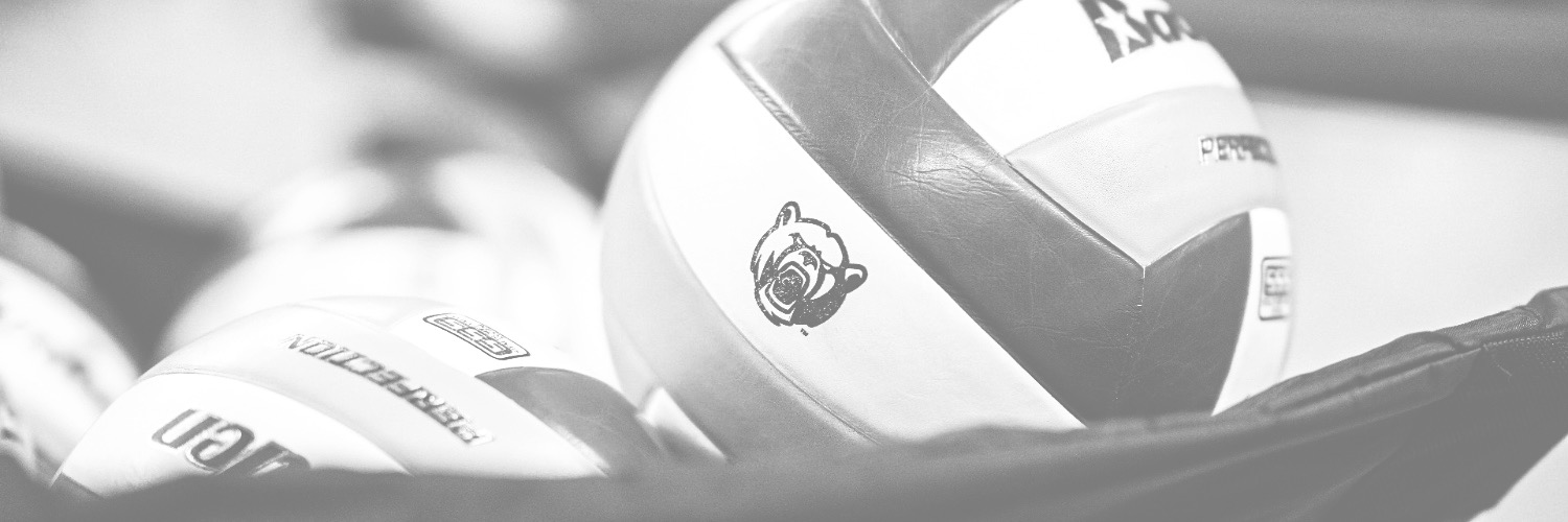 BaylorVBall's profile banner image