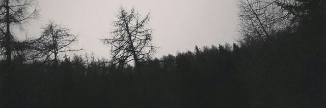 Muhammad Hilmy banner