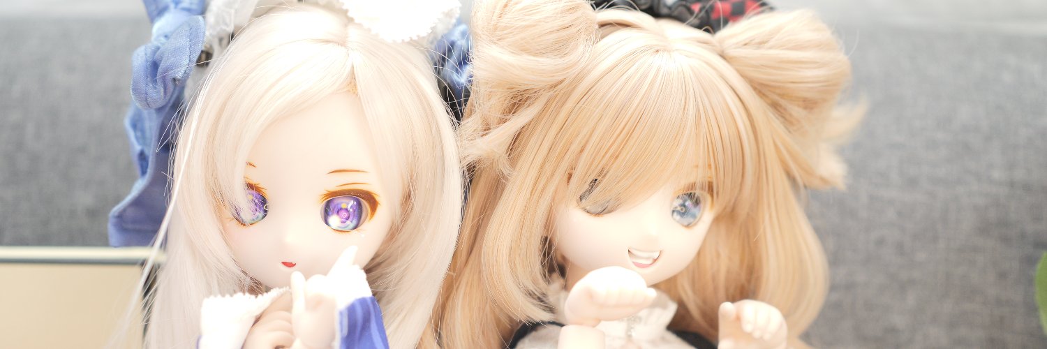 ドール好き電脳戦士にく's banner