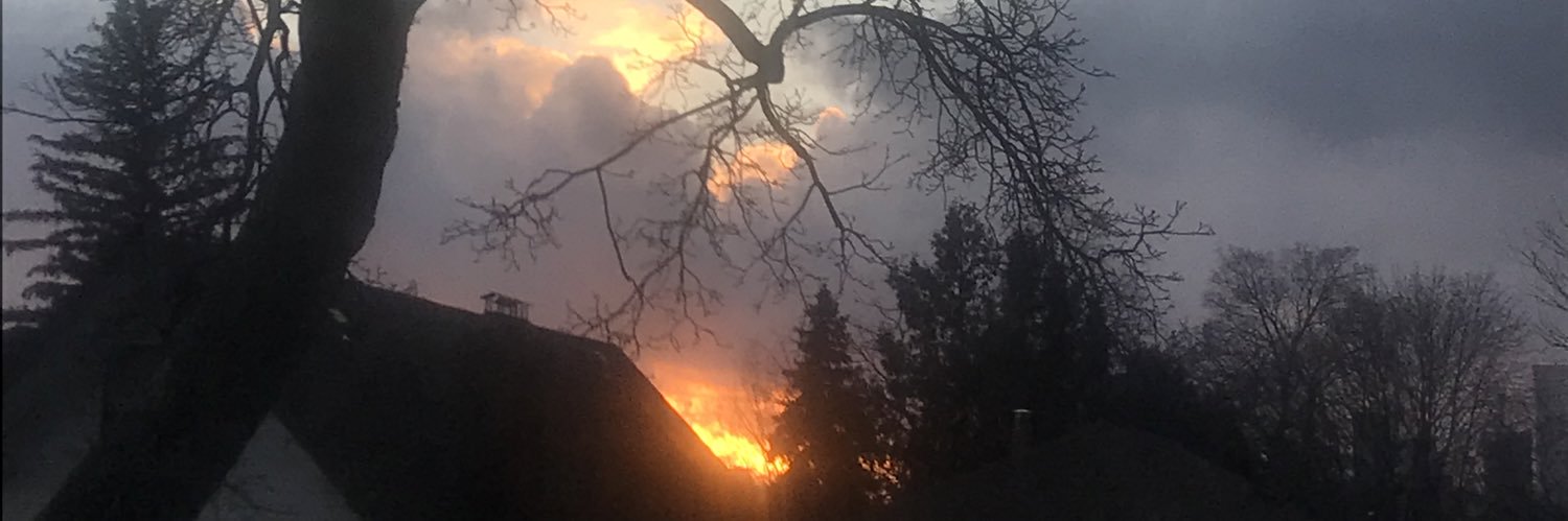 AllyshaPorter's profile banner image