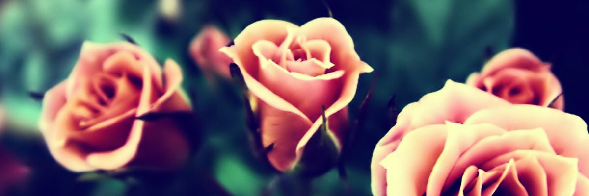 Francesca_Aimee's profile banner image