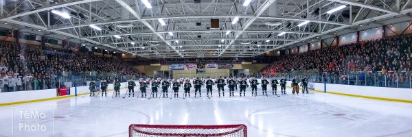 Hill-Murray Hockey Profile Banner