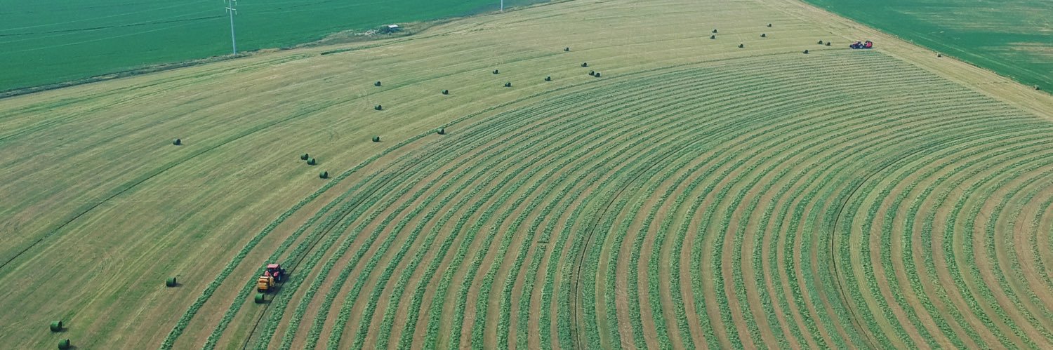 Gumbleds's profile banner image
