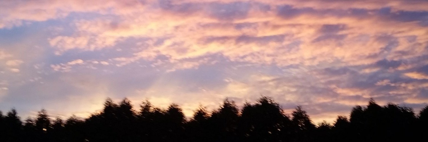 lellybeanz's profile banner image