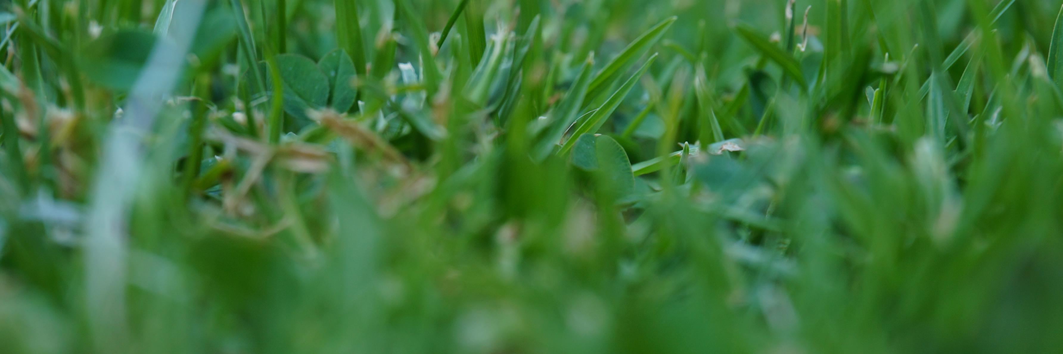 rafaescobar4's profile banner image