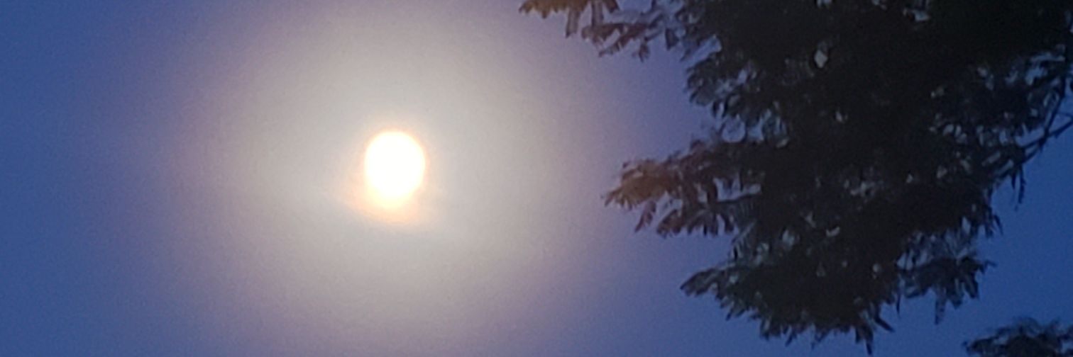 kimmyp2's profile banner image