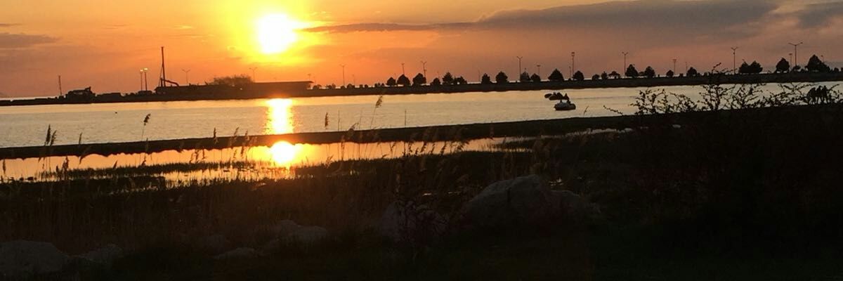 sezerdondas's profile banner image