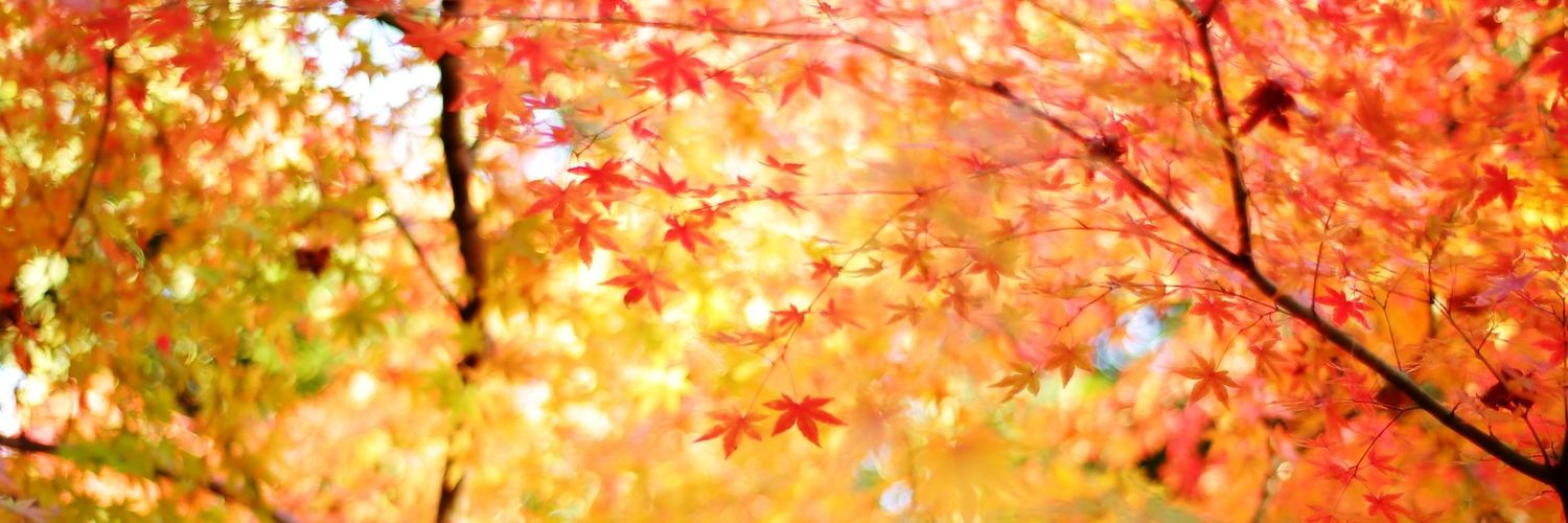 srisra73's profile banner image