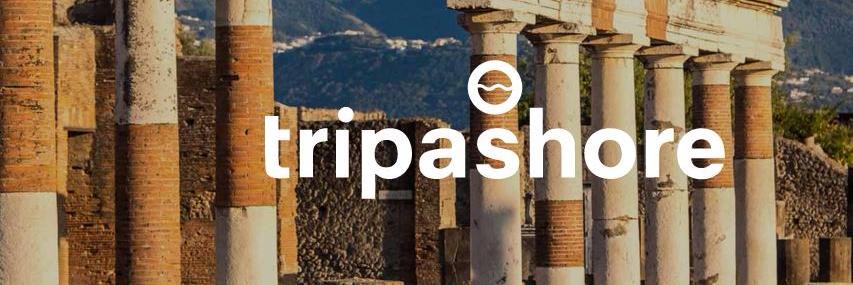 tripashore's profile banner image