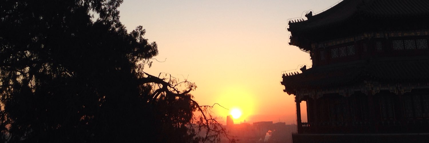 pivelt12's profile banner image