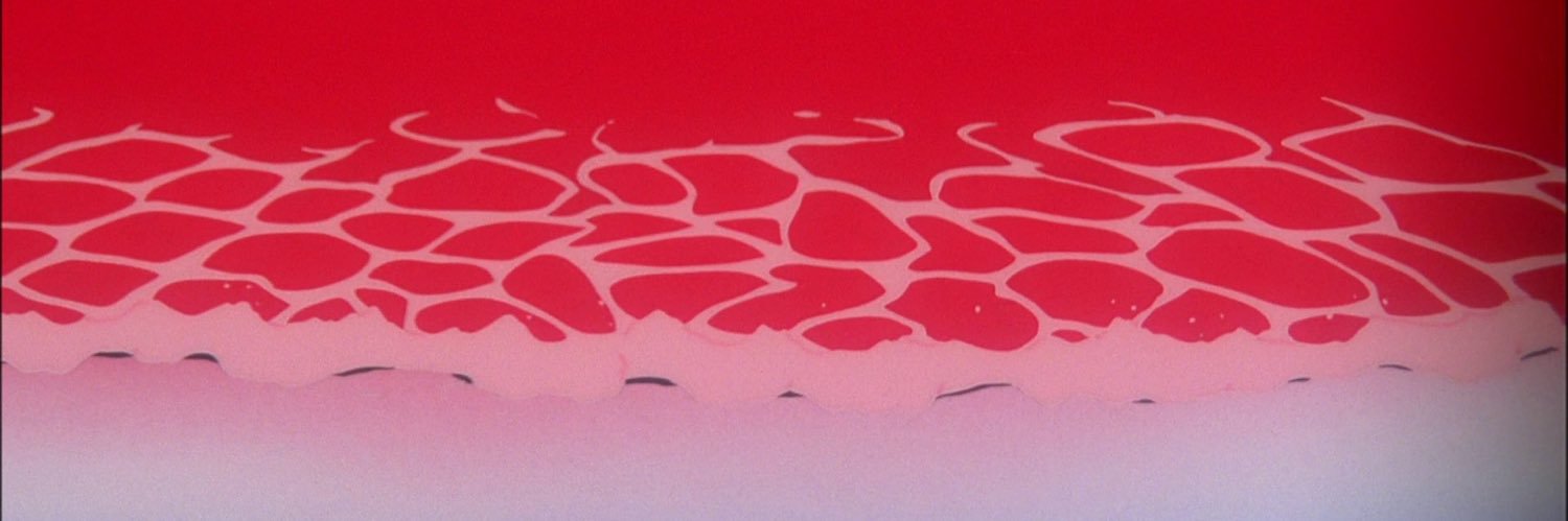 wonkyrick's profile banner image