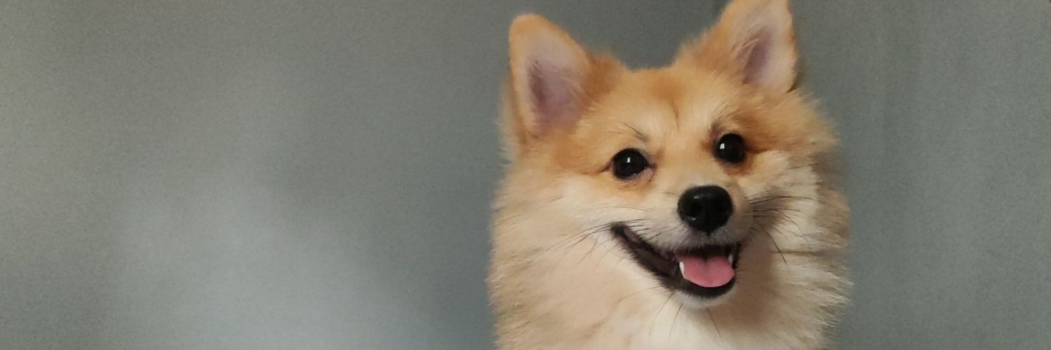 ugofrancoco's profile banner image