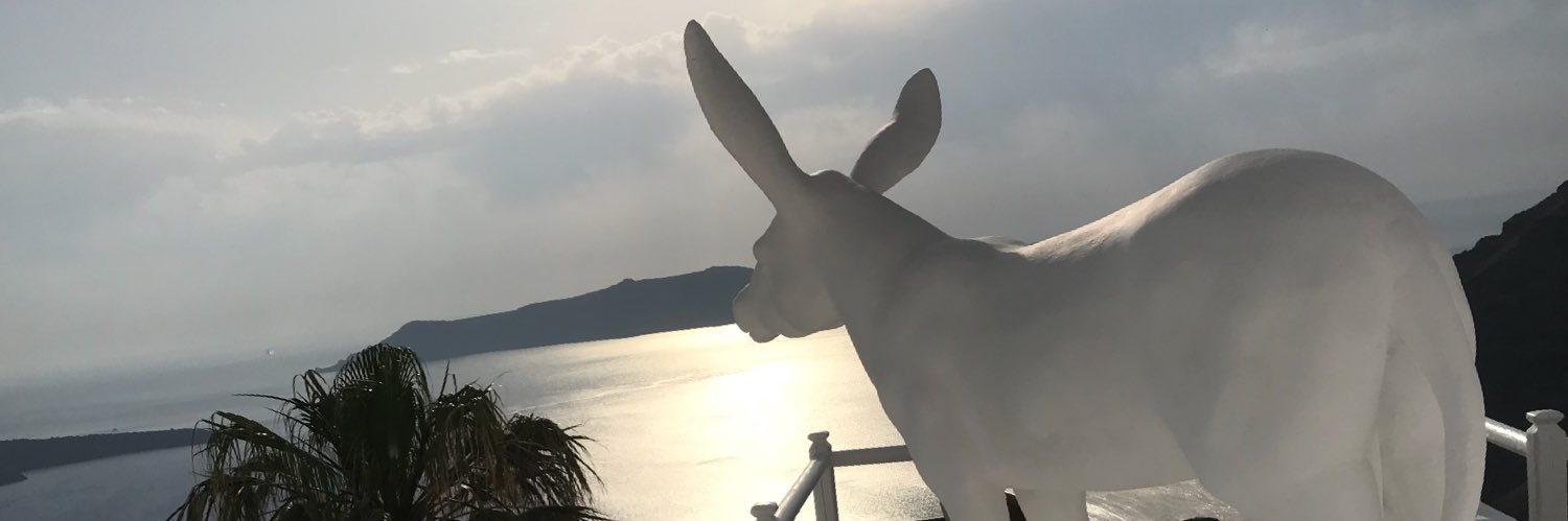 VeritySims's profile banner image