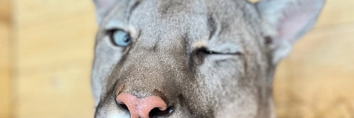 rodrivan2323's profile banner image
