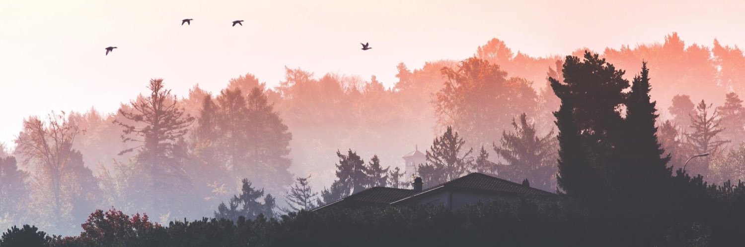 jennisimmons's profile banner image