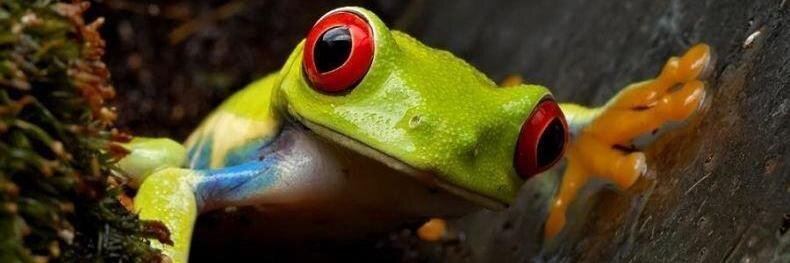 MonicaJOneill's profile banner image