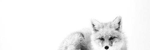 ploy_rattanata's profile banner image