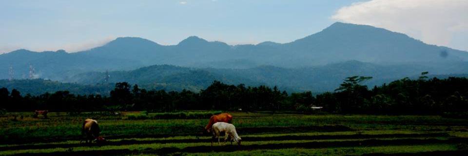 Henk_Widi's profile banner image