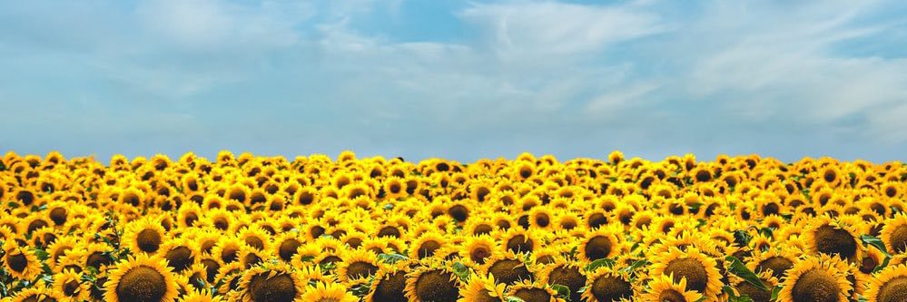 afErle's profile banner image