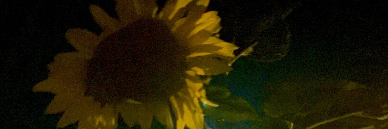 Kamro's profile banner image