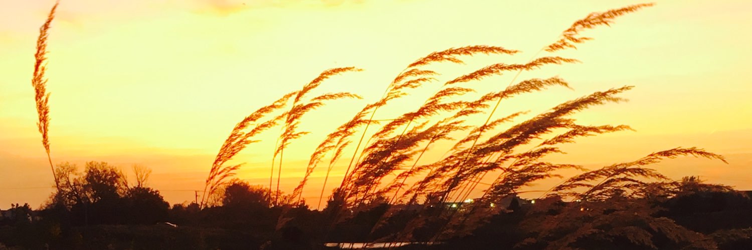 readwithramos's profile banner image