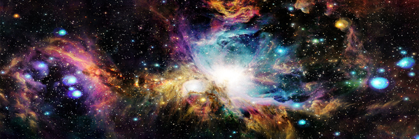 Ellrose95 Profile Banner