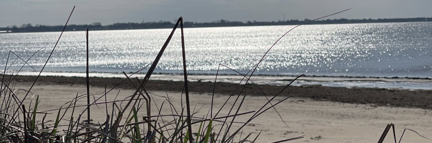 Marcus Björkman (@Bjorkman85) / Posts / X