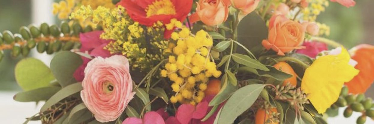 05petals's profile banner image