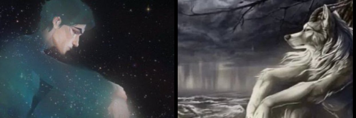 Karla ⁷ 🪭/ Jayvik banner