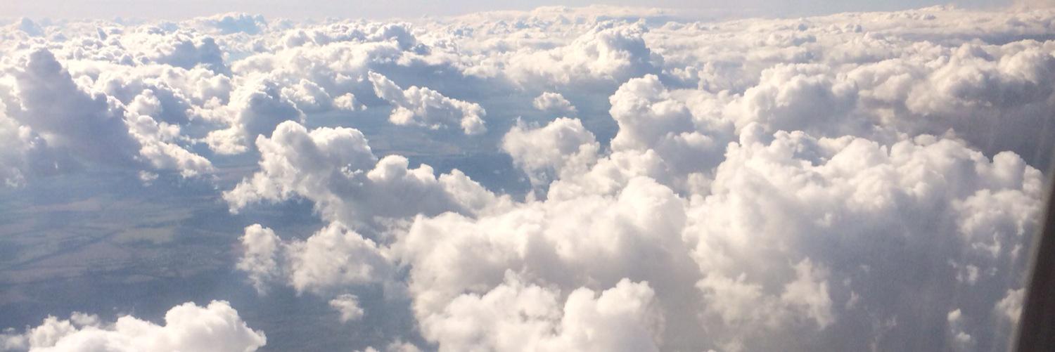 dashadasha_'s profile banner image