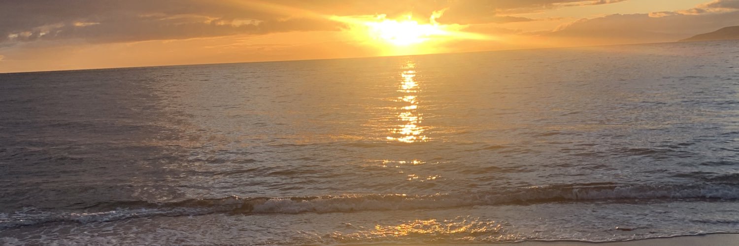 jbeetle98's profile banner image