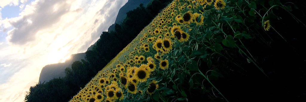 syouenni's profile banner image