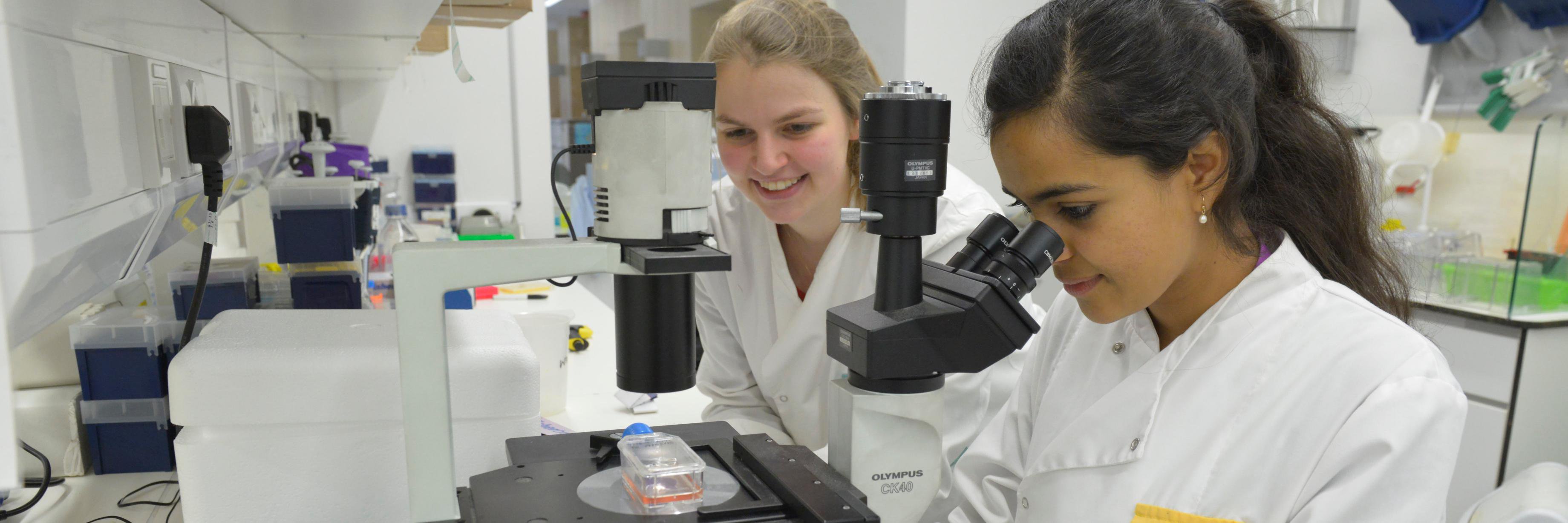 ProfJennyHigham banner